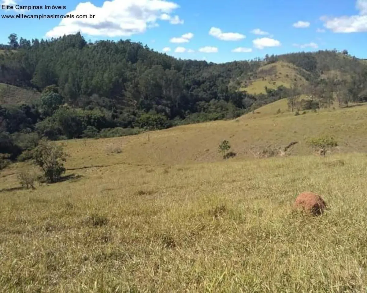 Small farm for sale of 89 acres in Amparo, SP, Brazil