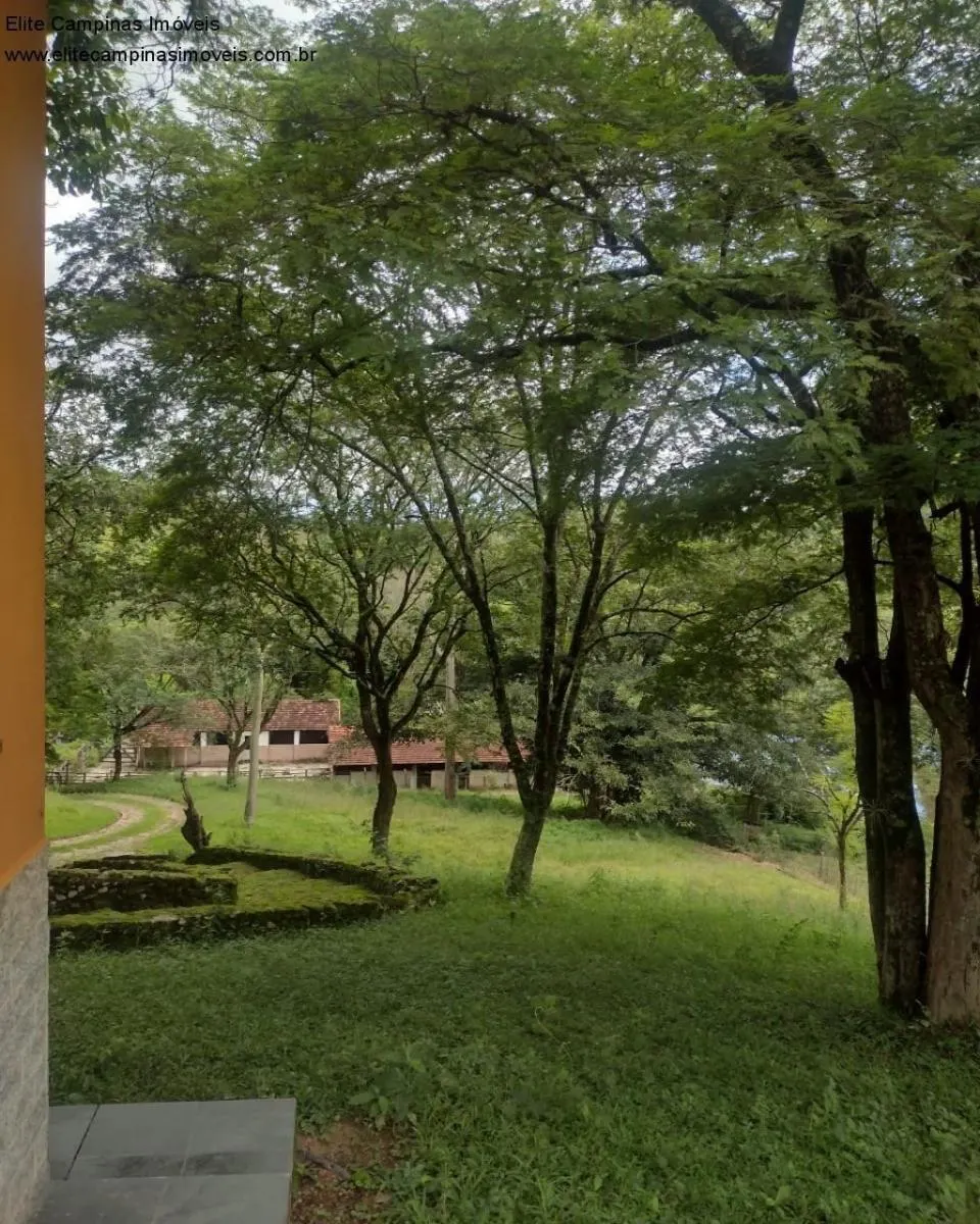 Small farm for sale of 89 acres in Amparo, SP, Brazil