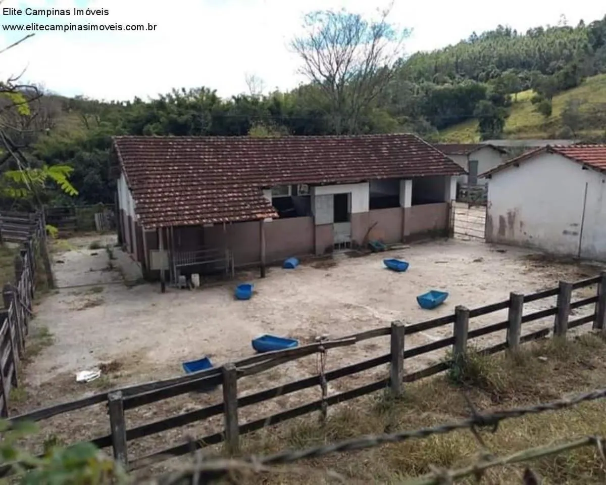 Small farm for sale of 89 acres in Amparo, SP, Brazil