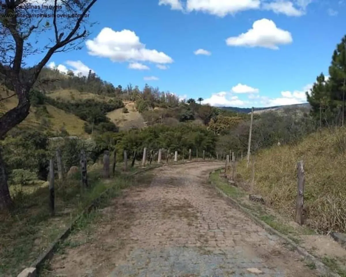 Small farm for sale of 89 acres in Amparo, SP, Brazil