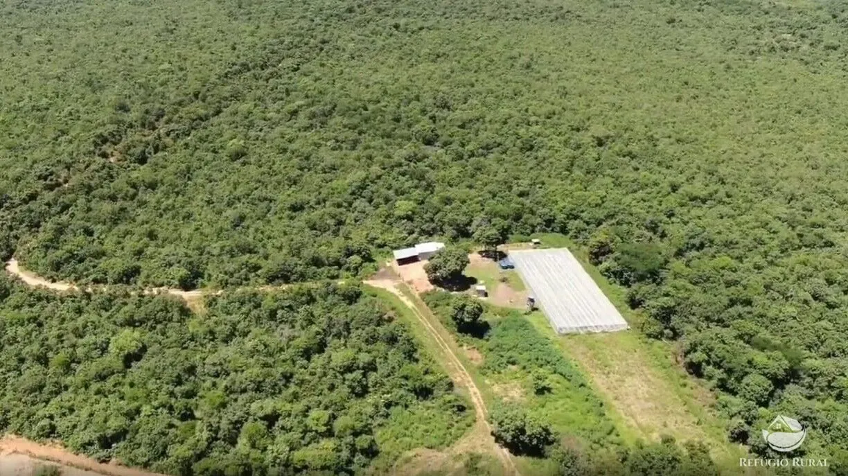 Fazenda à venda de 690 ha em Arinos, MG, Brasil