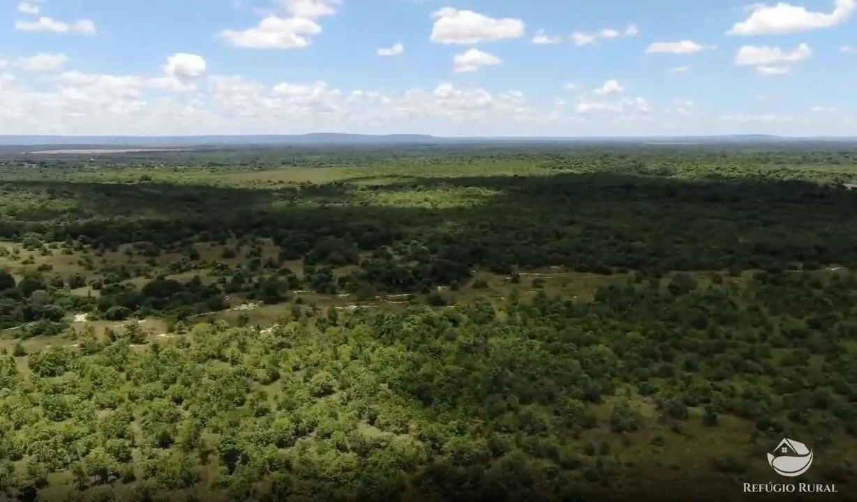 Fazenda à venda de 690 ha em Arinos, MG, Brasil