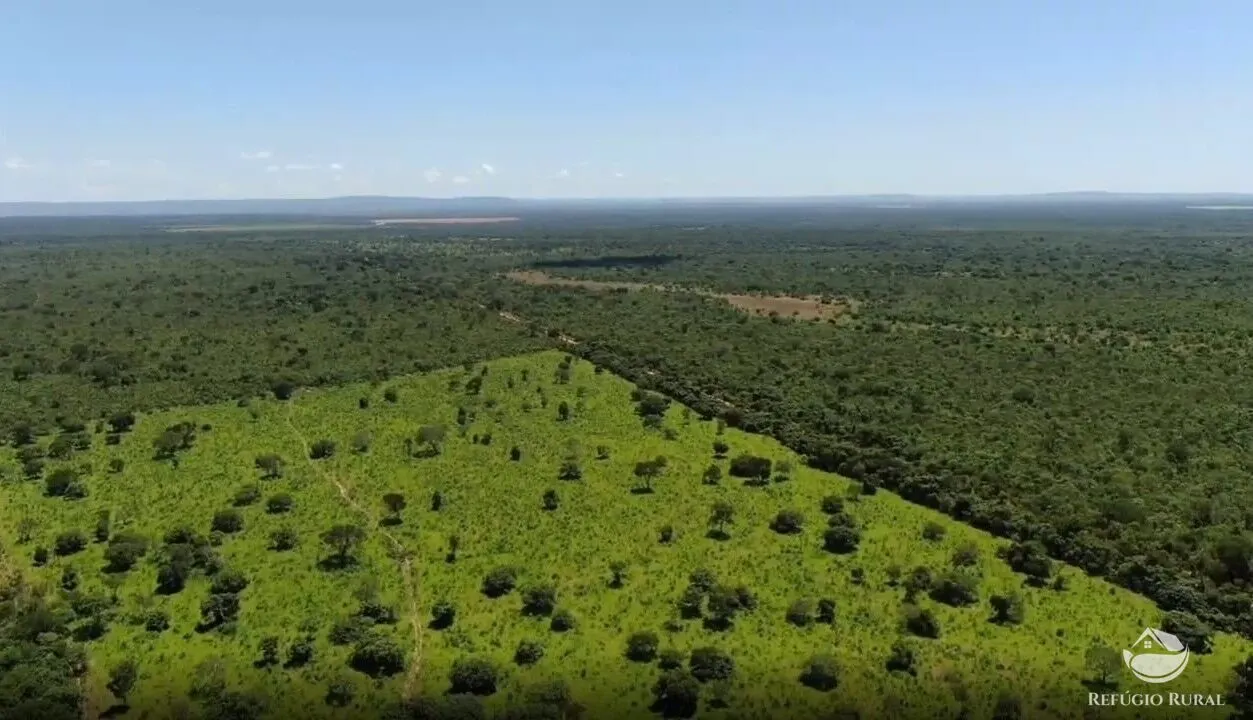 Fazenda à venda de 690 ha em Arinos, MG, Brasil