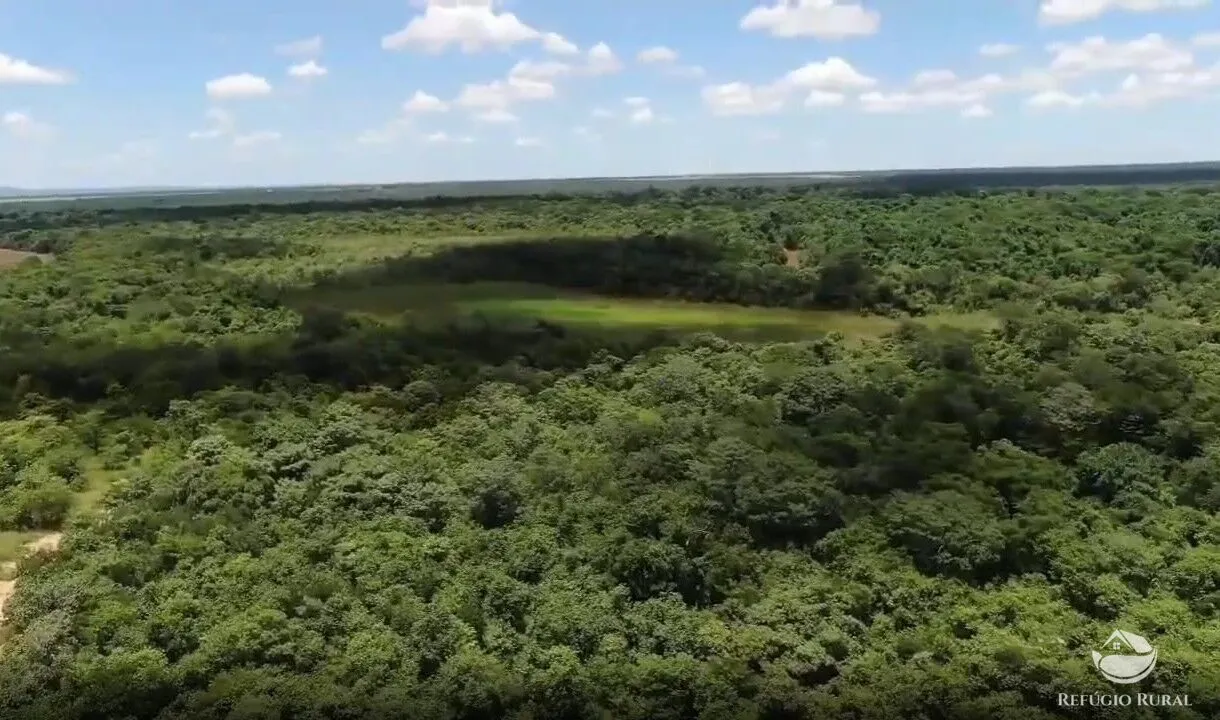Fazenda à venda de 690 ha em Arinos, MG, Brasil