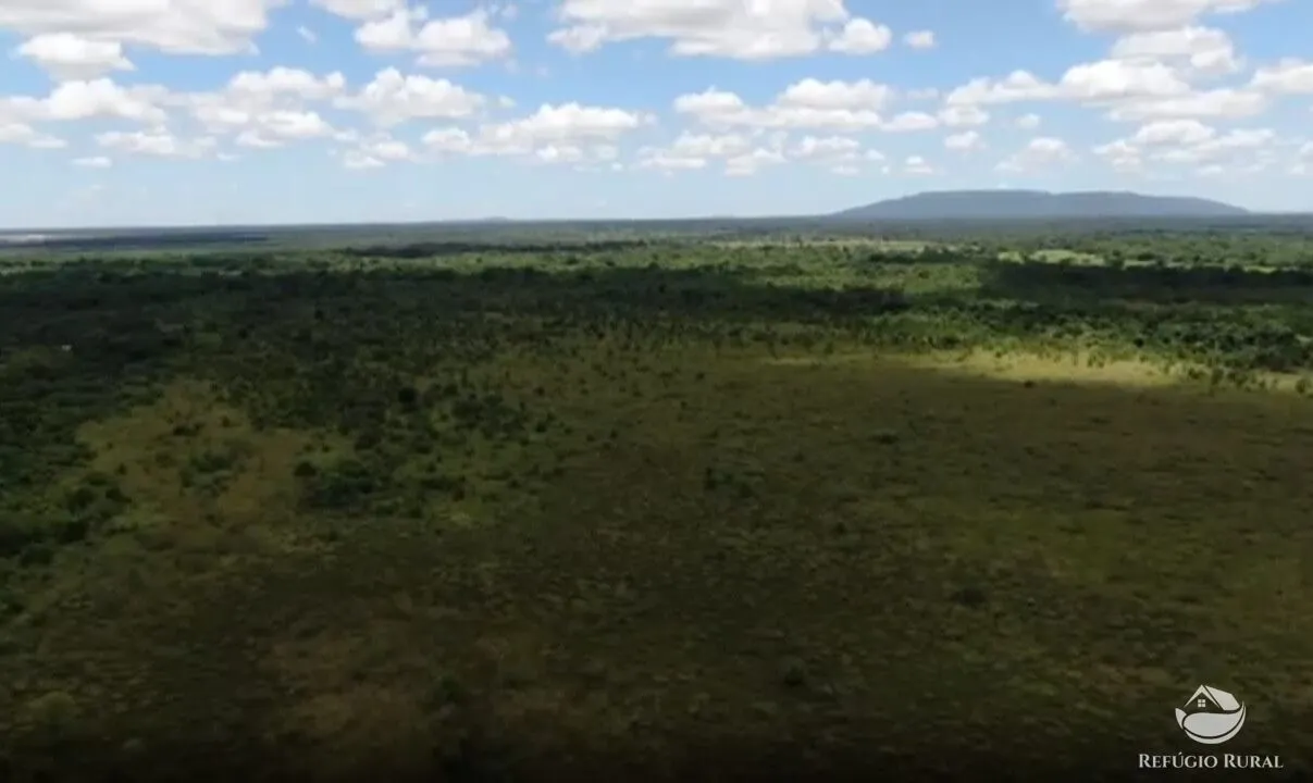 Fazenda à venda de 690 ha em Arinos, MG, Brasil
