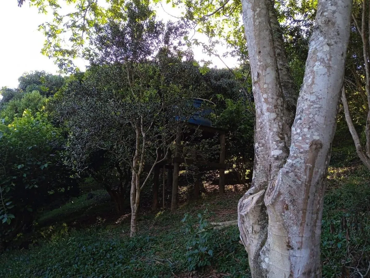 Country home for sale of 7 acres in Paraibuna, SP, Brazil