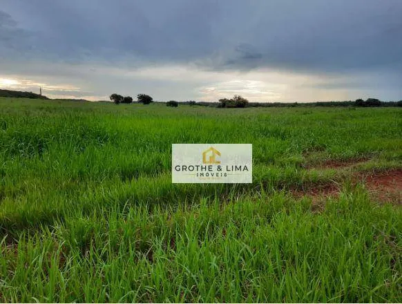 Fazenda à venda de 8.712 ha em Araguaína, TO, Brasil