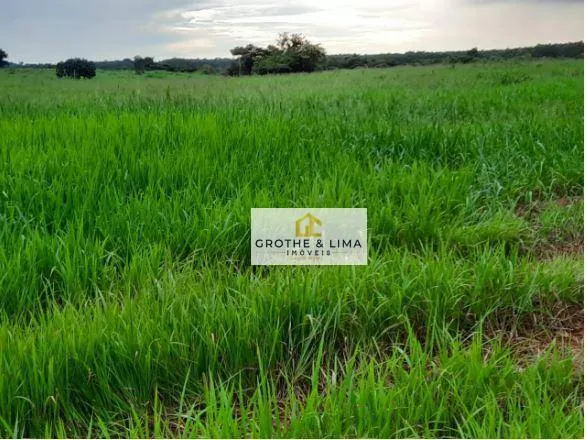 Fazenda à venda de 8.712 ha em Araguaína, TO, Brasil