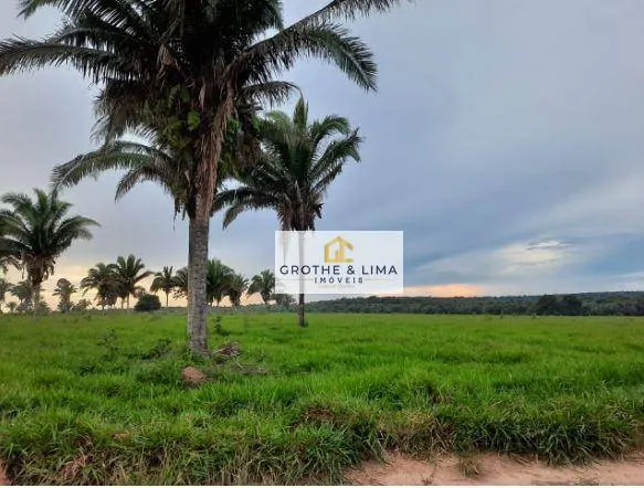 Fazenda à venda de 8.712 ha em Araguaína, TO, Brasil