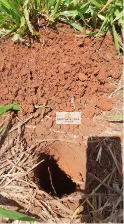 Fazenda à venda de 8.712 ha em Araguaína, TO, Brasil