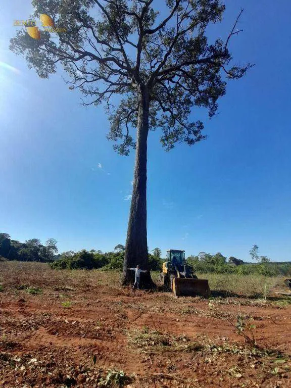 Fazenda à venda e para Arrendar de 3.520 ha em Itaúba, MT, Brasil