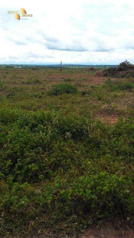 Fazenda à venda e para Arrendar de 3.520 ha em Itaúba, MT, Brasil
