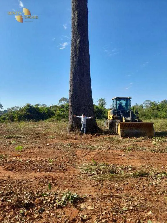 Fazenda à venda e para Arrendar de 3.520 ha em Itaúba, MT, Brasil