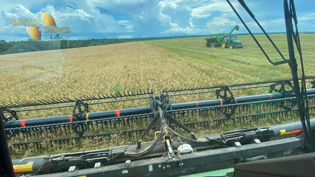 Fazenda à venda e para Arrendar de 3.520 ha em Itaúba, MT, Brasil