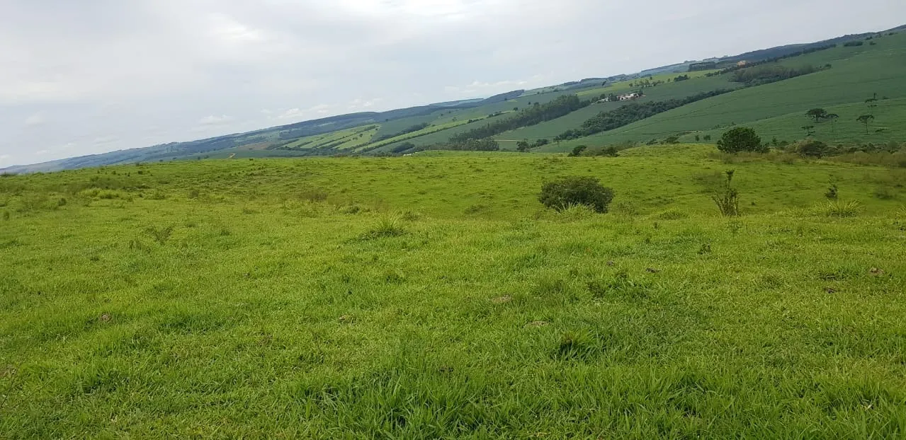 Fazenda à venda de 515 ha em Itapeva, SP, Brasil