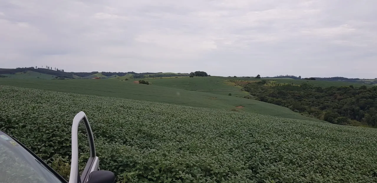 Fazenda à venda de 515 ha em Itapeva, SP, Brasil