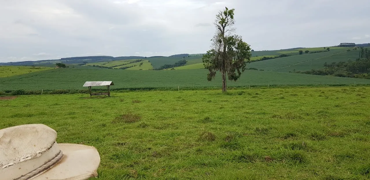 Fazenda à venda de 515 ha em Itapeva, SP, Brasil