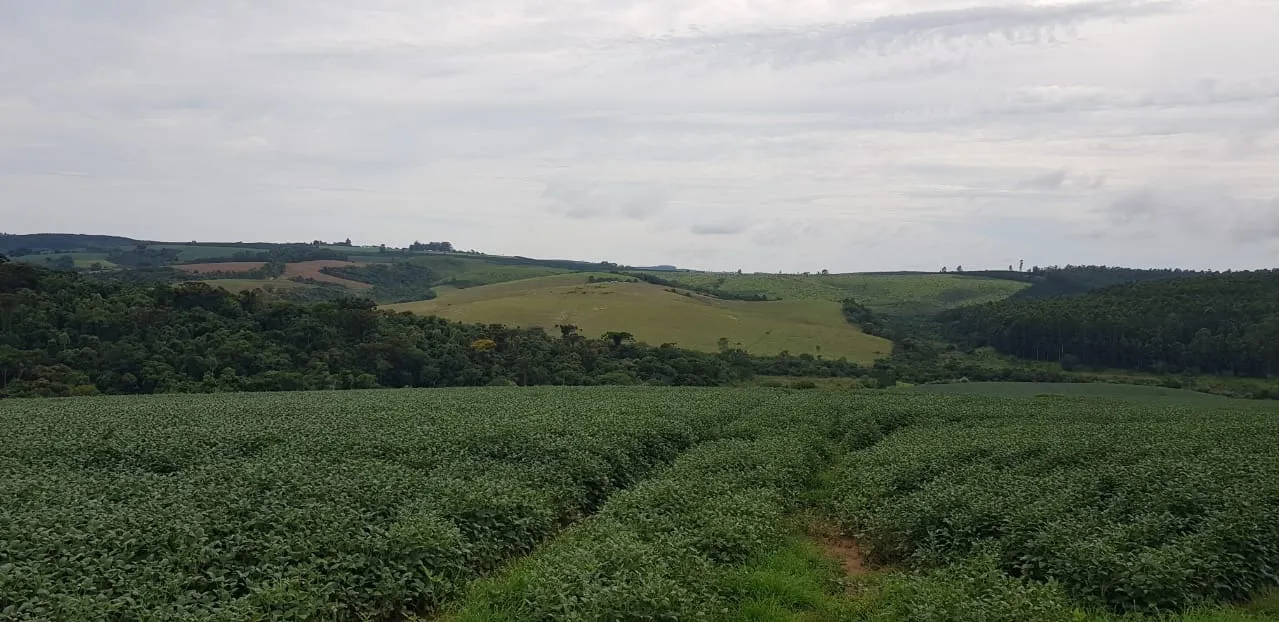 Fazenda à venda de 515 ha em Itapeva, SP, Brasil