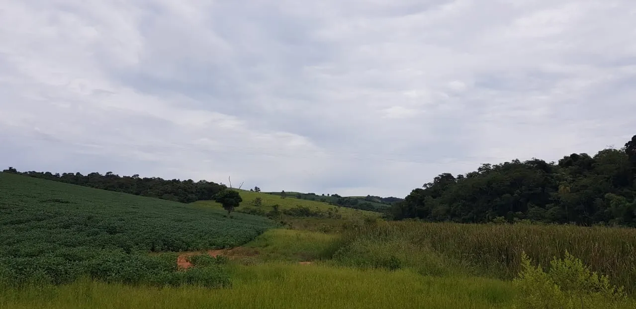 Fazenda à venda de 515 ha em Itapeva, SP, Brasil
