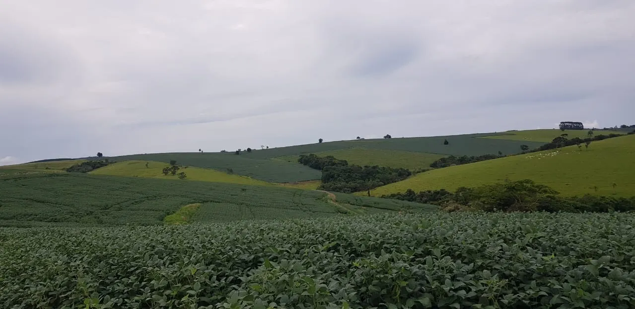 Fazenda à venda de 515 ha em Itapeva, SP, Brasil