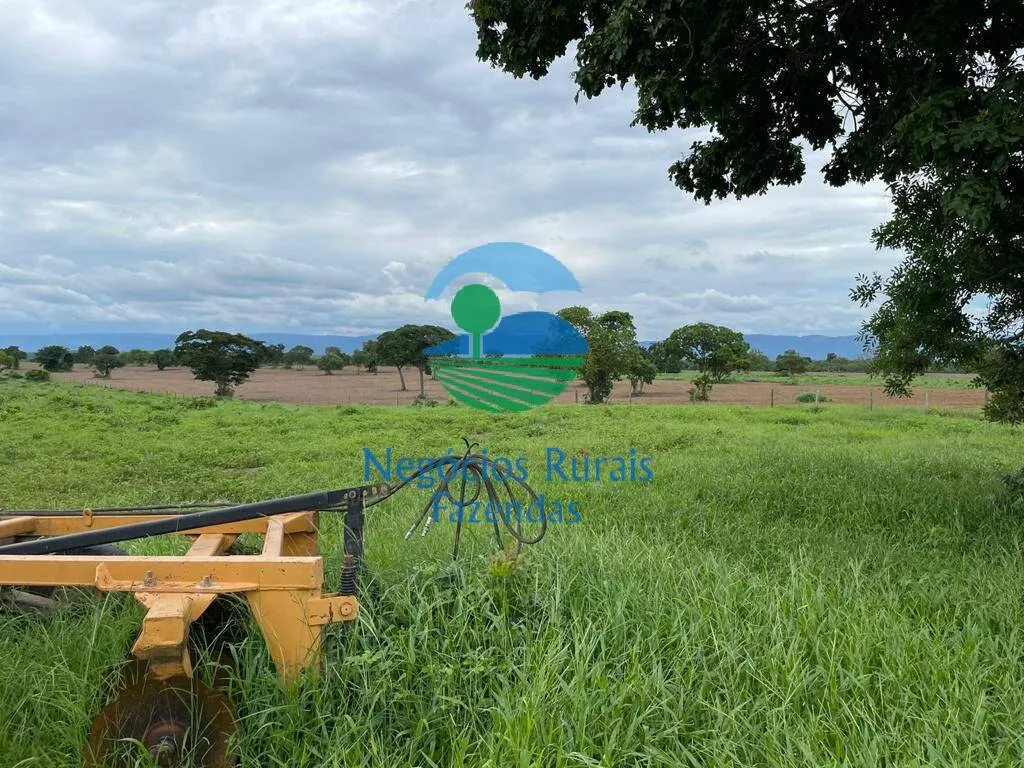 Fazenda à venda de 1.742 ha em Flores de Goiás, GO, Brasil