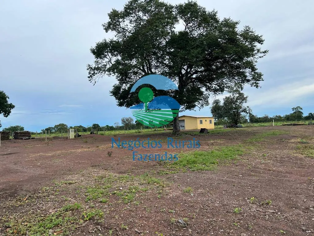 Fazenda à venda de 1.742 ha em Flores de Goiás, GO, Brasil