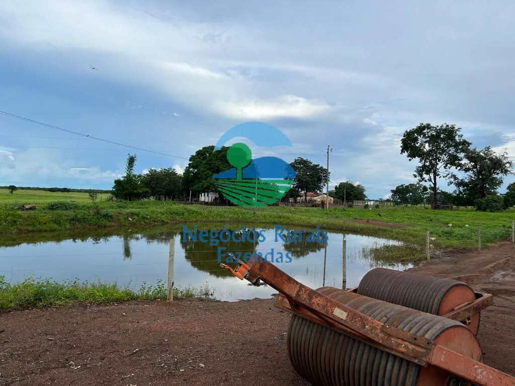 Fazenda à venda de 1.742 ha em Flores de Goiás, GO, Brasil