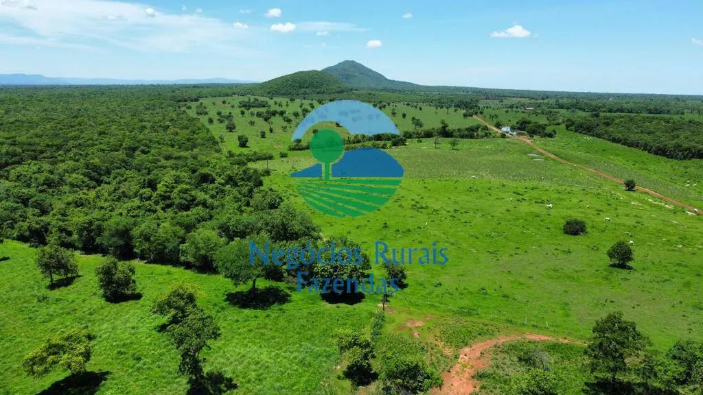 Fazenda à venda de 1.742 ha em Flores de Goiás, GO, Brasil