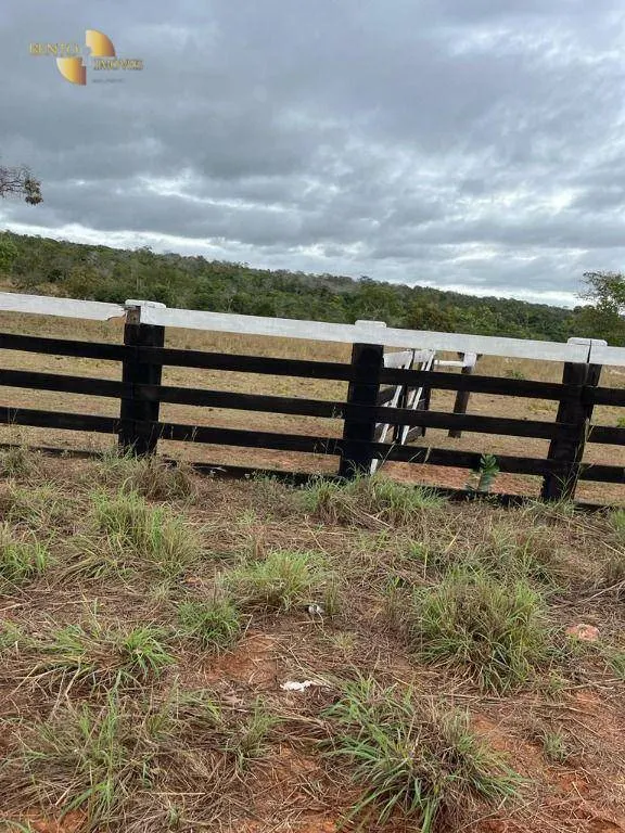 Fazenda à venda de 315 ha em Chapada dos Guimarães, MT, Brasil