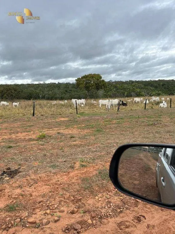 Fazenda à venda de 315 ha em Chapada dos Guimarães, MT, Brasil