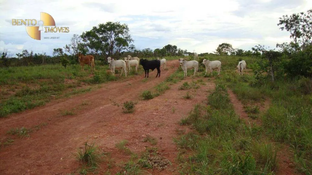 Fazenda à venda de 1.378 ha em Rosário Oeste, MT, Brasil