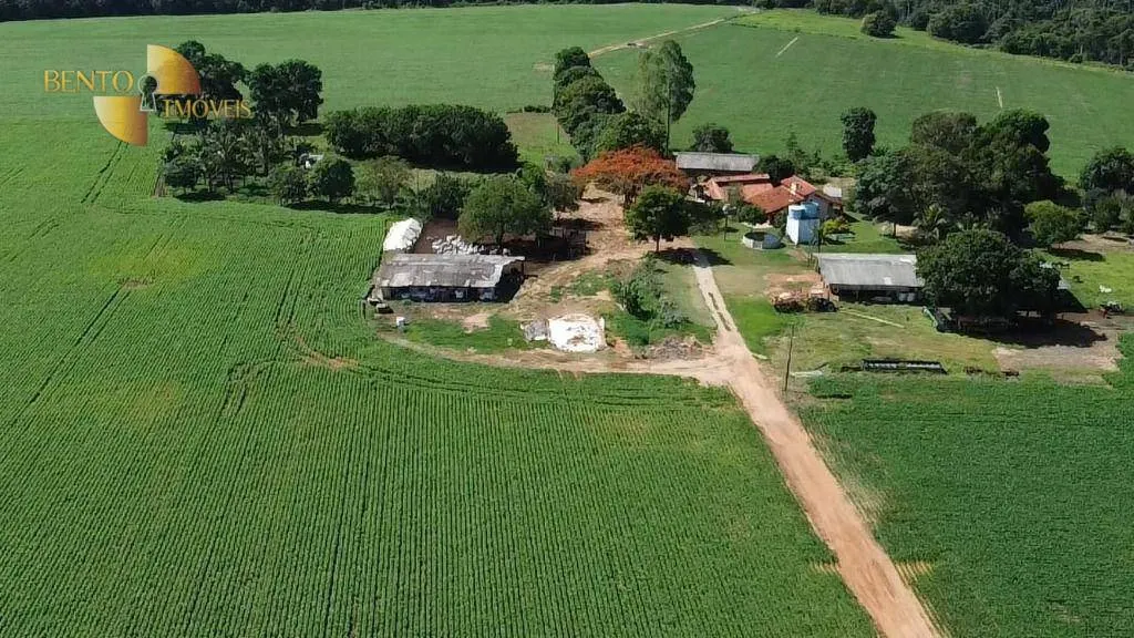 Sítio à venda de 95 ha em Nova Mutum, MT, Brasil