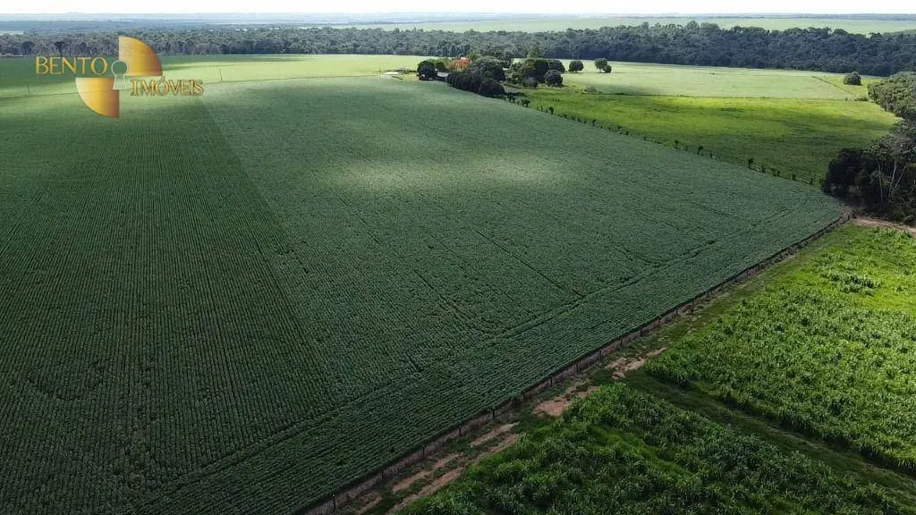 Sítio à venda de 95 ha em Nova Mutum, MT, Brasil