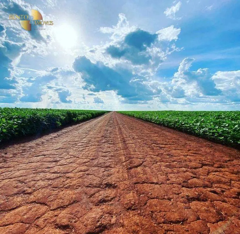 Farm for sale of 8,896 acres in Tabaporã, MT, Brazil
