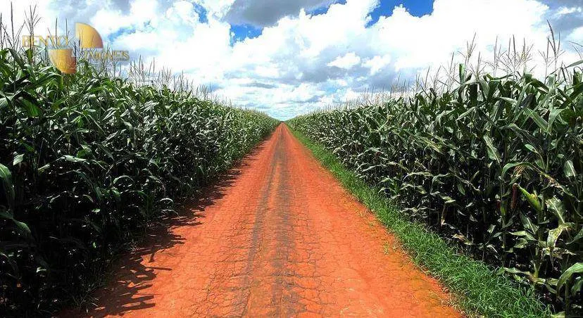 Fazenda à venda de 3.600 ha em Tabaporã, MT, Brasil