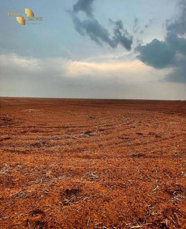 Farm for sale of 8,896 acres in Tabaporã, MT, Brazil
