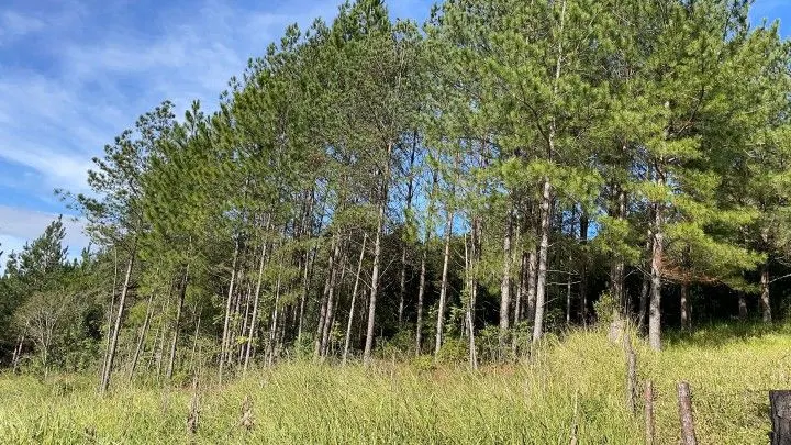 Chácara à venda de 1.900 m² em Parobé, RS, Brasil