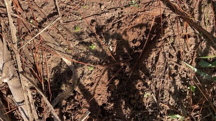 Chácara à venda de 1.900 m² em Parobé, RS, Brasil
