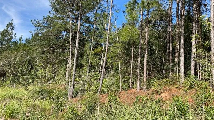 Chácara à venda de 1.900 m² em Parobé, RS, Brasil