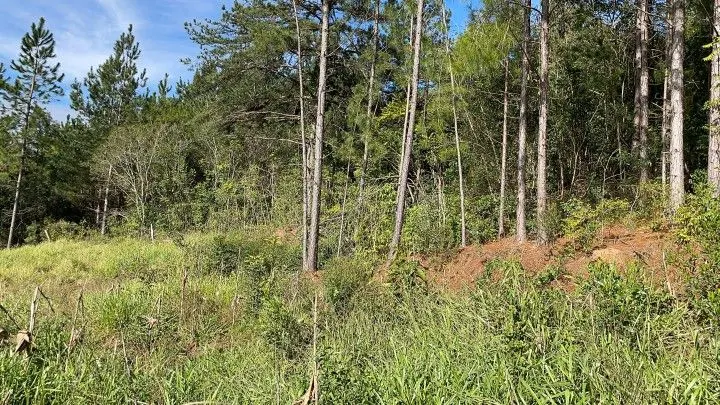 Chácara à venda de 1.900 m² em Parobé, RS, Brasil
