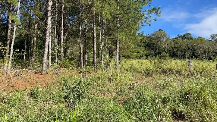 Chácara à venda de 1.900 m² em Parobé, RS, Brasil