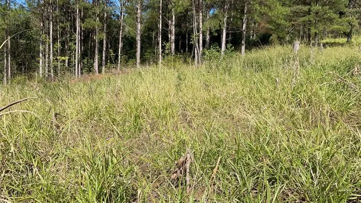 Chácara à venda de 1.900 m² em Parobé, RS, Brasil