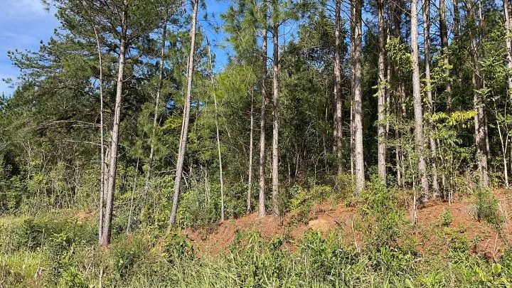 Chácara à venda de 1.900 m² em Parobé, RS, Brasil
