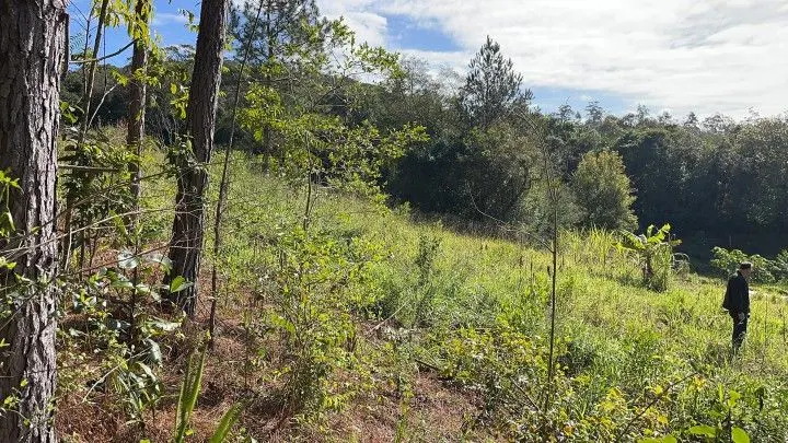 Chácara à venda de 1.900 m² em Parobé, RS, Brasil