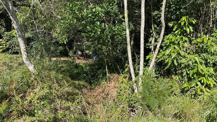 Chácara à venda de 1.900 m² em Parobé, RS, Brasil