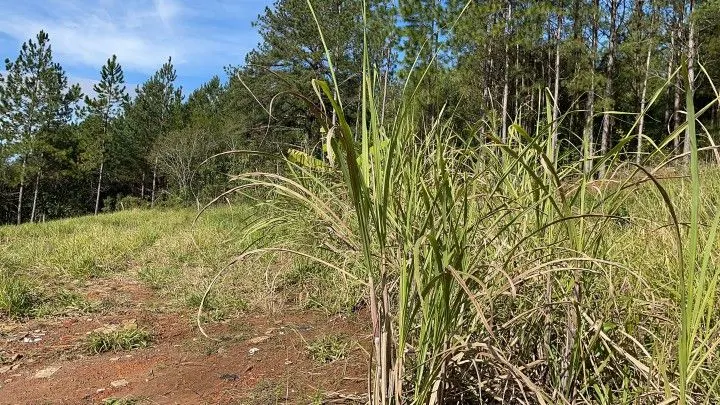 Chácara à venda de 1.900 m² em Parobé, RS, Brasil