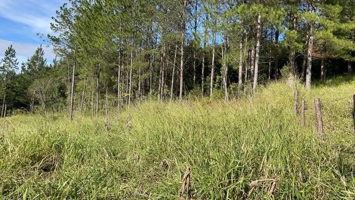 Chácara à venda de 1.900 m² em Parobé, RS, Brasil