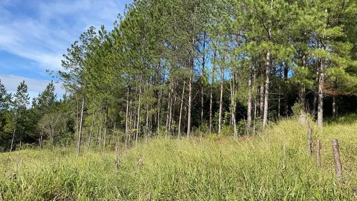 Chácara à venda de 1.900 m² em Parobé, RS, Brasil