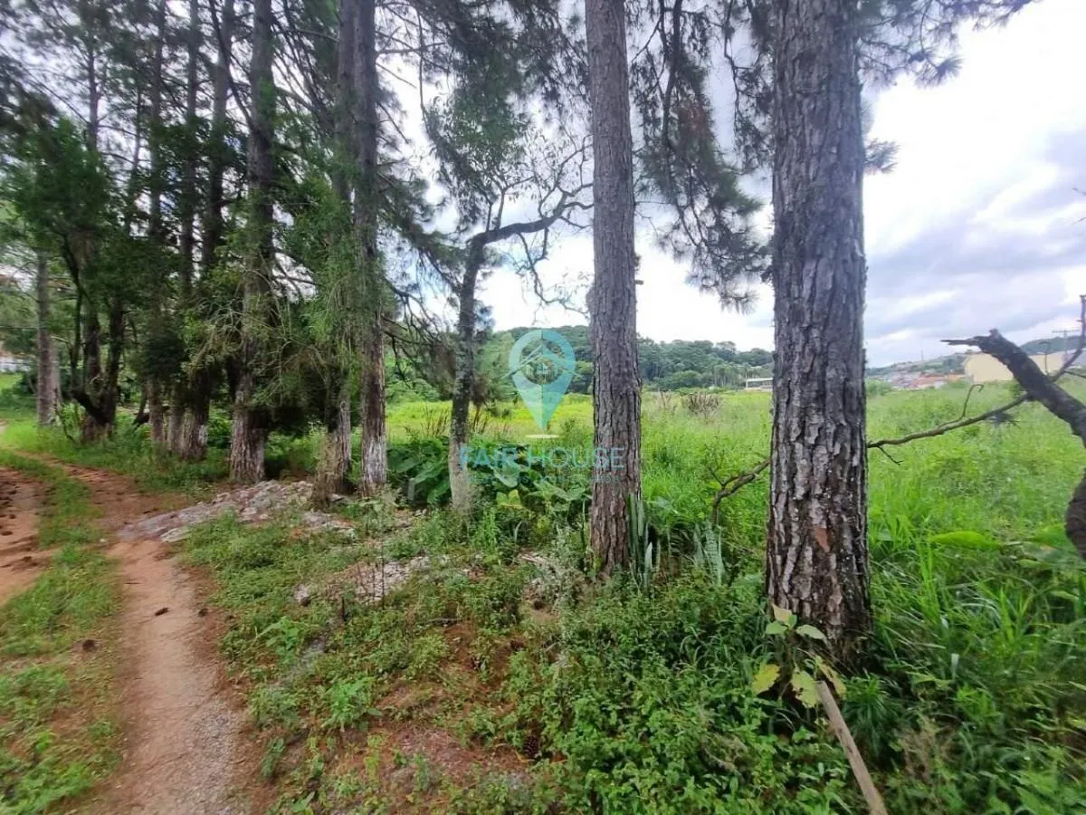Sítio à venda de 7 ha em Piedade, SP, Brasil