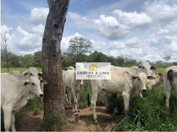 Hacienda en venta de 11.000 ha en São José do Peixe, PI, Brasil